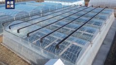 到“中国蔬菜之乡” 看28岁新农人的梦想菜园